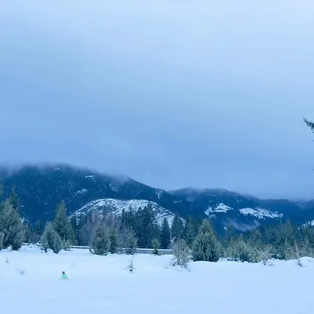 Dom wakacyjny Woodenhouse Ede Vlasic